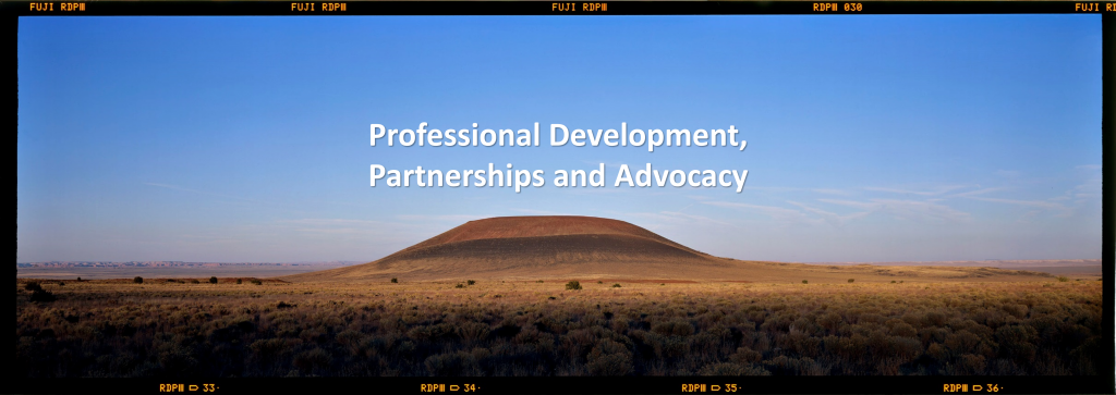 Professional Development, Partnerships and Advocacy